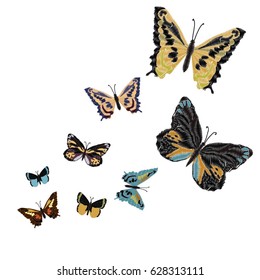 butterfly embroidery - vector, illustration