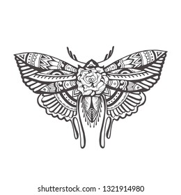 Butterfly with ethnic doodle pattern. Coloring page - zendala, design for relax and meditation, vector illustration, isolated on a white background