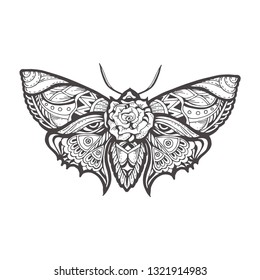 Human Hands Hold Moth Dead Head Stock Vector (Royalty Free) 633911885 ...