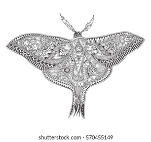 Butterfly with ethnic doodle pattern. Coloring page - zendala, design for relax and meditation, vector illustration, isolated on a white background