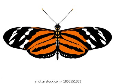 Eueides isabella de mariposa aislada en blanco