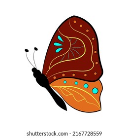 Butterfly exotic winged insect, vector illustration. Colored butterfly with large wings.