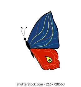 Insectos alados exóticos de mariposa, ilustración vectorial. Mariposa de colores con grandes alas.