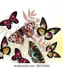 Butterfly fashion pattern