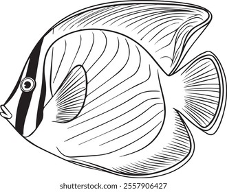 Butterfly fish: Graceful Tropical Fish for Underwater-Themed Content