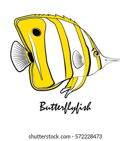 Butterfly fish Saltwater Aquarium Fish vector illustration