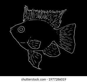 butterfly fish is a stylized vector image drawn by hand in a sketch style and with a white line on a black background. vector isolated fish contour element for the design template.