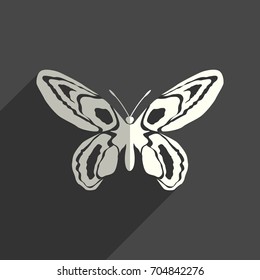 Butterfly flat icons with of shadow. Simple vector illustration