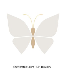 butterfly flat illustration Wild life plants and animals series