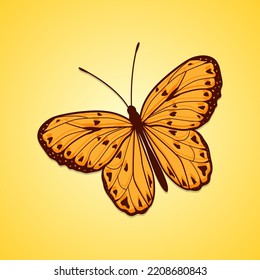 Butterfly flat style vector art illustration isolated on yellow background
