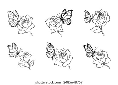 
A butterfly flies on a rose flower