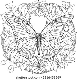 butterfly with floral mandala line art, coloring book page