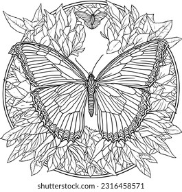 butterfly with floral mandala line art, coloring book page