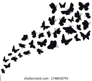 Butterfly flow silhouettes. Flying butterflies graphic wave, black flower butterflies silhouette. Papillon sketch vector background illustration. Silhouette butterfly summer wildlife