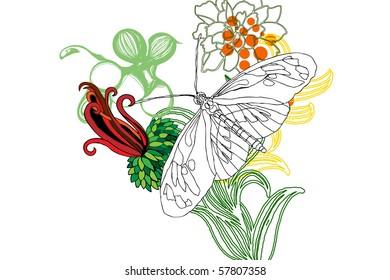 butterfly and flower