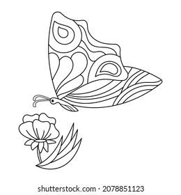 Butterfly, flower coloring book for kids. Hand-drawn vector illustration. Black and white insects.