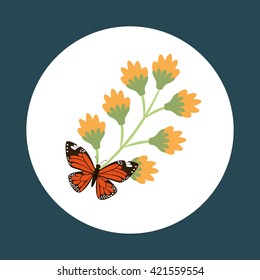 butterfly and flower design 