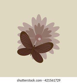 butterfly and flower design 