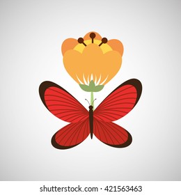 butterfly and flower design 