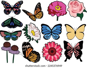 Butterfly Flower Garden Illustration Set