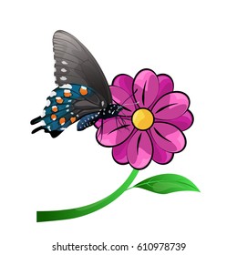 Butterfly and flower isolated on a white background, vector illustration.