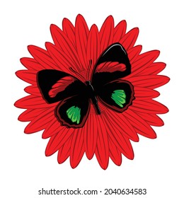 butterfly and flower simple vector illustration