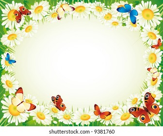 butterfly and flowers