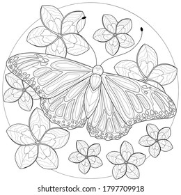 
Butterfly with flowers around.Coloring book antistress for children and adults. Black and white drawing.Zen-tangle style.
