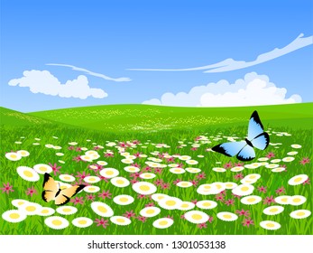 butterfly and flowers in meadow 