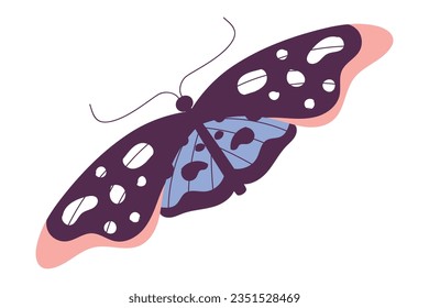 Butterfly Fluttering with Open Wings Closeup Vector Illustration