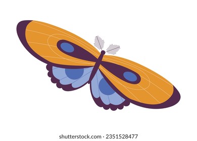 Butterfly Fluttering with Open Wings Closeup Vector Illustration