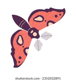 Butterfly Fluttering with Open Wings Closeup Vector Illustration