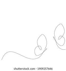 Butterfly fly animal line drawing, vector illustration