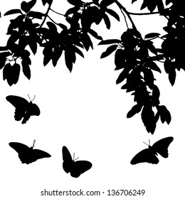 butterfly fly with leaf