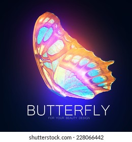 Butterfly flyer illustration. Vector illustration