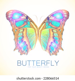 Butterfly flyer illustration. Vector illustration
