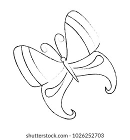 butterfly flying decorative frame
