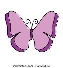 butterfly flying decorative frame