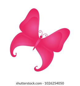 butterfly flying decorative frame