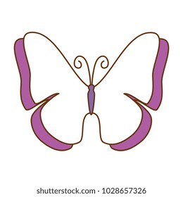 butterfly flying decorative frame