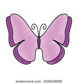butterfly flying decorative frame