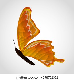 butterfly flying design, vector illustration eps10 graphic 