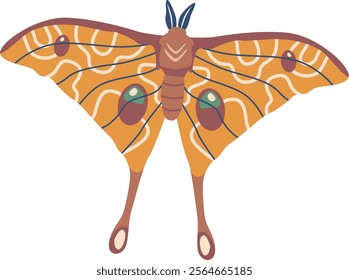 Butterfly flying insects vector illustration