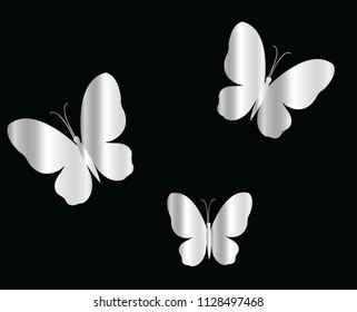 butterfly foil vector
