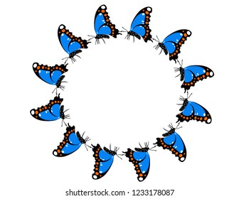 Butterfly frame isolated