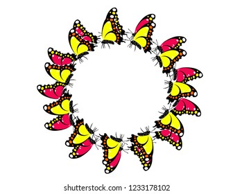 Butterfly frame isolated