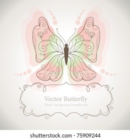 Butterfly and frame for your text