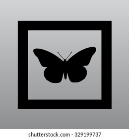 butterfly framed vector illustration