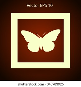 butterfly framed vector illustration