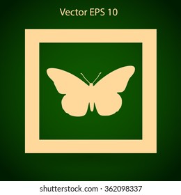 butterfly framed vector illustration